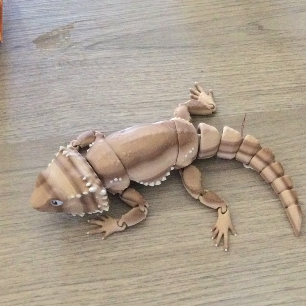 3D Printed bearded dragon